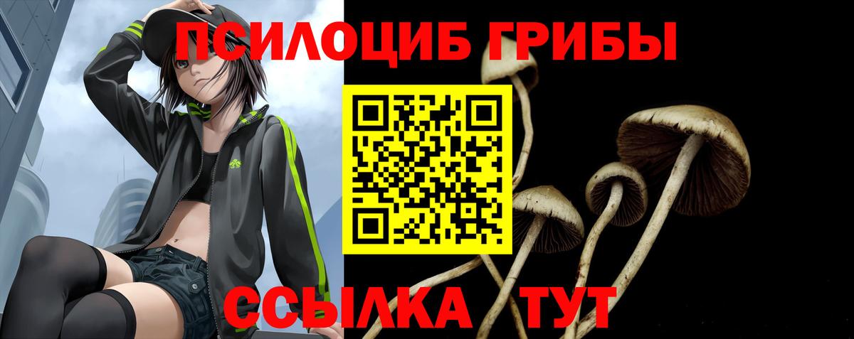 Киреевск  Галлюциногенные грибы ЛСД  Псилоцибиновые грибы мицелий  Вход с VPN 